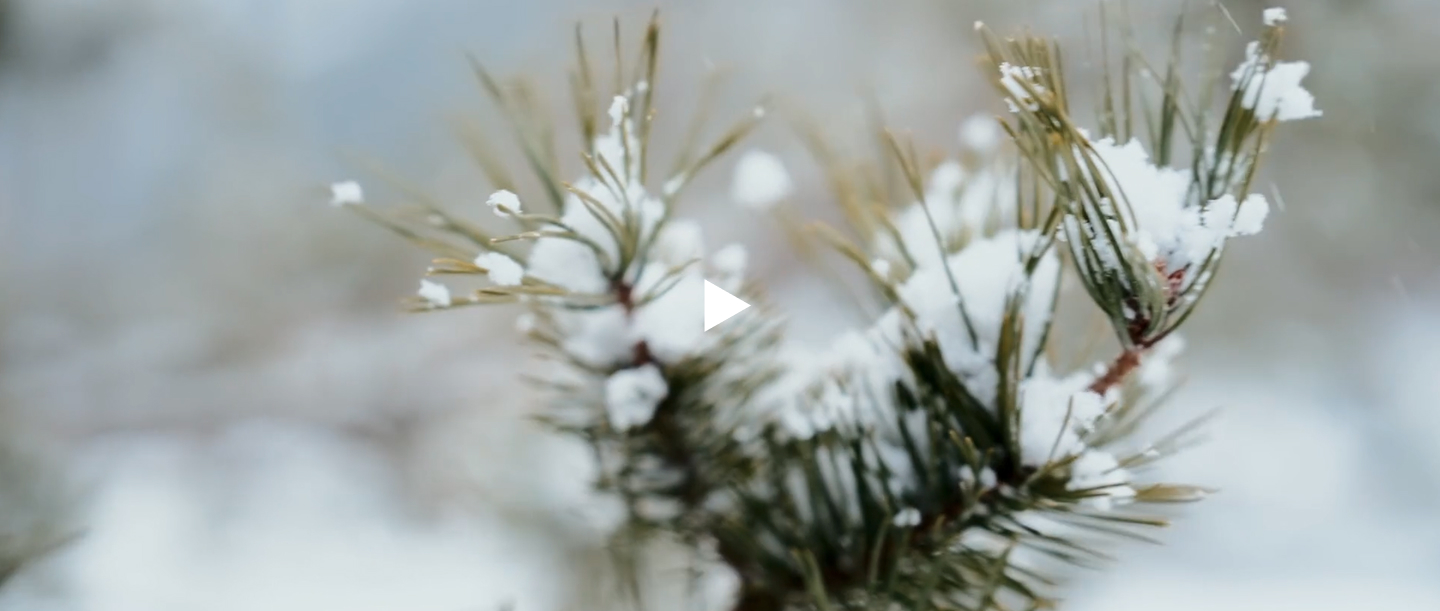 Фоновое изображение